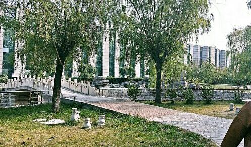會計專業課程怎么樣？   