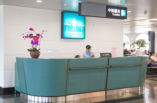 臨沂空乘學(xué)校有哪些？哪所學(xué)校比較好？