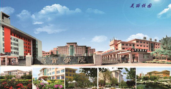 青島哪所學校開設了空中乘務專業(yè)？