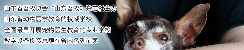 招生簡章_山東現代畜牧獸醫專修學校