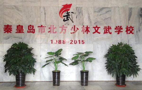 秦皇島北方少林文武學(xué)校就業(yè)如何？這答案你放心！
