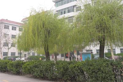保定哪所正規的學校有鐵路專業？   