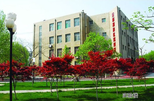 淄博市工業(yè)學(xué)校開設(shè)哪些計(jì)算機(jī)課程？