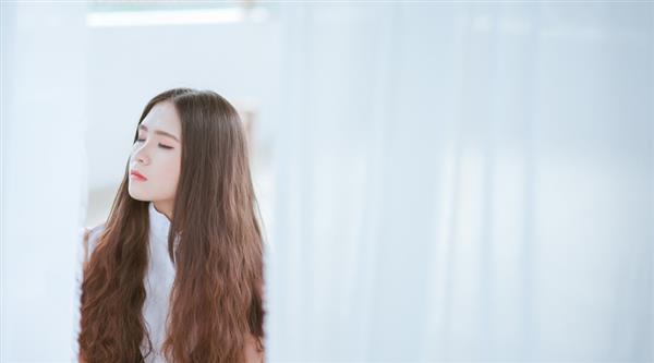 石家莊東方學院都開設了哪些專業？