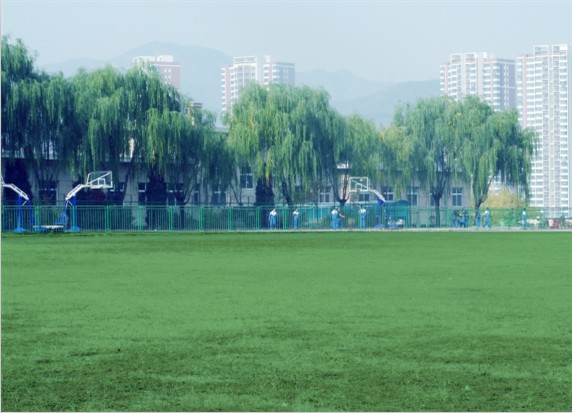青島滿(mǎn)天星職業(yè)培訓(xùn)學(xué)校怎么樣？