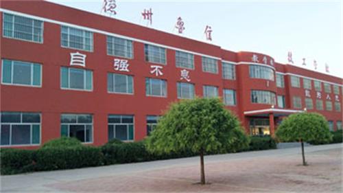 山東德州魯信通懋職業技工學校就業情況怎么樣？