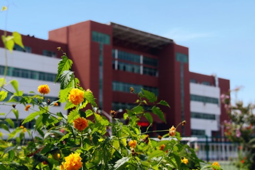 會計專業都學什么專業課程？