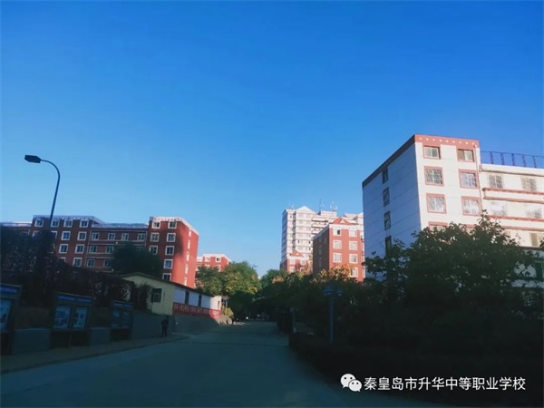 電商專業都學什么內容？