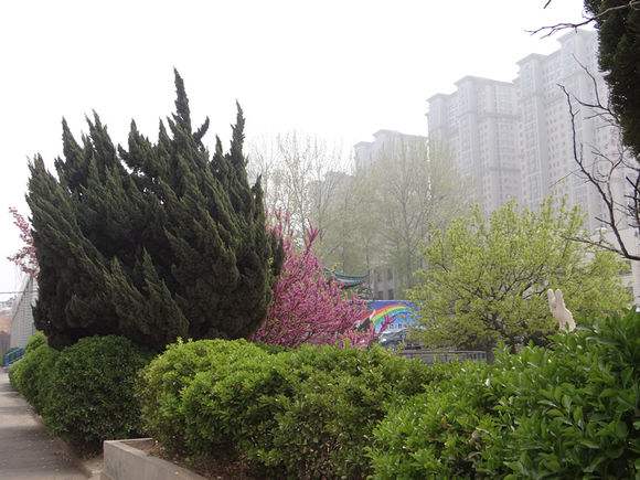 煙臺天虹學院怎么樣？