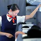 航空服務（票務、安檢方向）、航空乘務定向委培