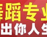 石家莊華藝高考藝術生培訓學校